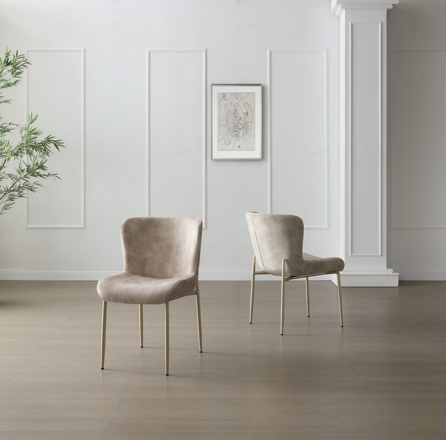 Pietra Dinning, Lounge Chair - Champagne Fabric - Set of 2