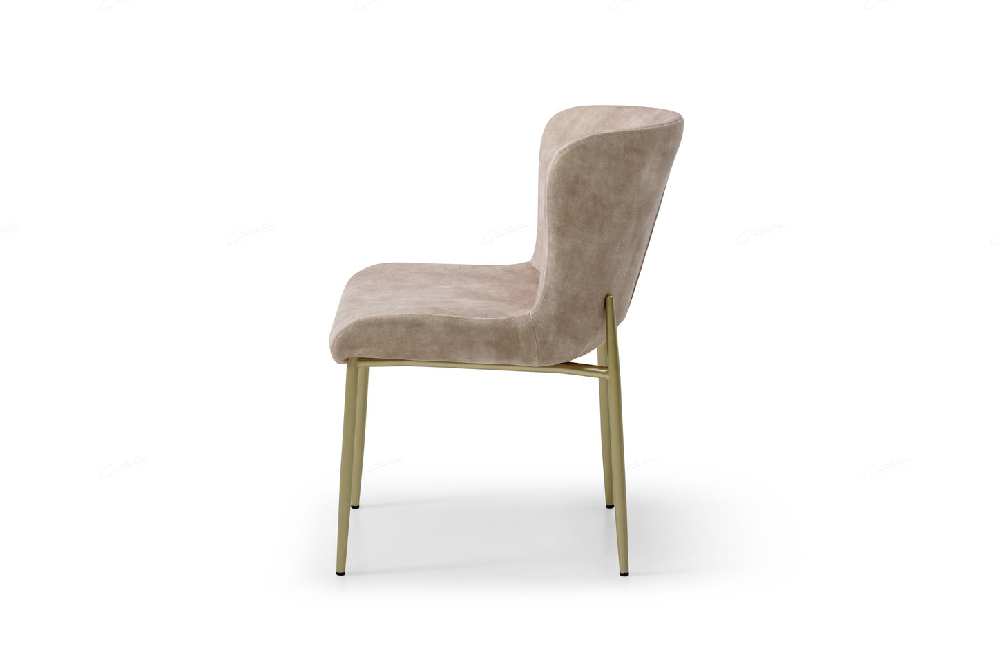 Pietra Dinning, Lounge Chair - Champagne Fabric - Set of 2